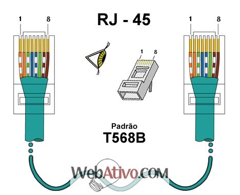 RJ45-T568B